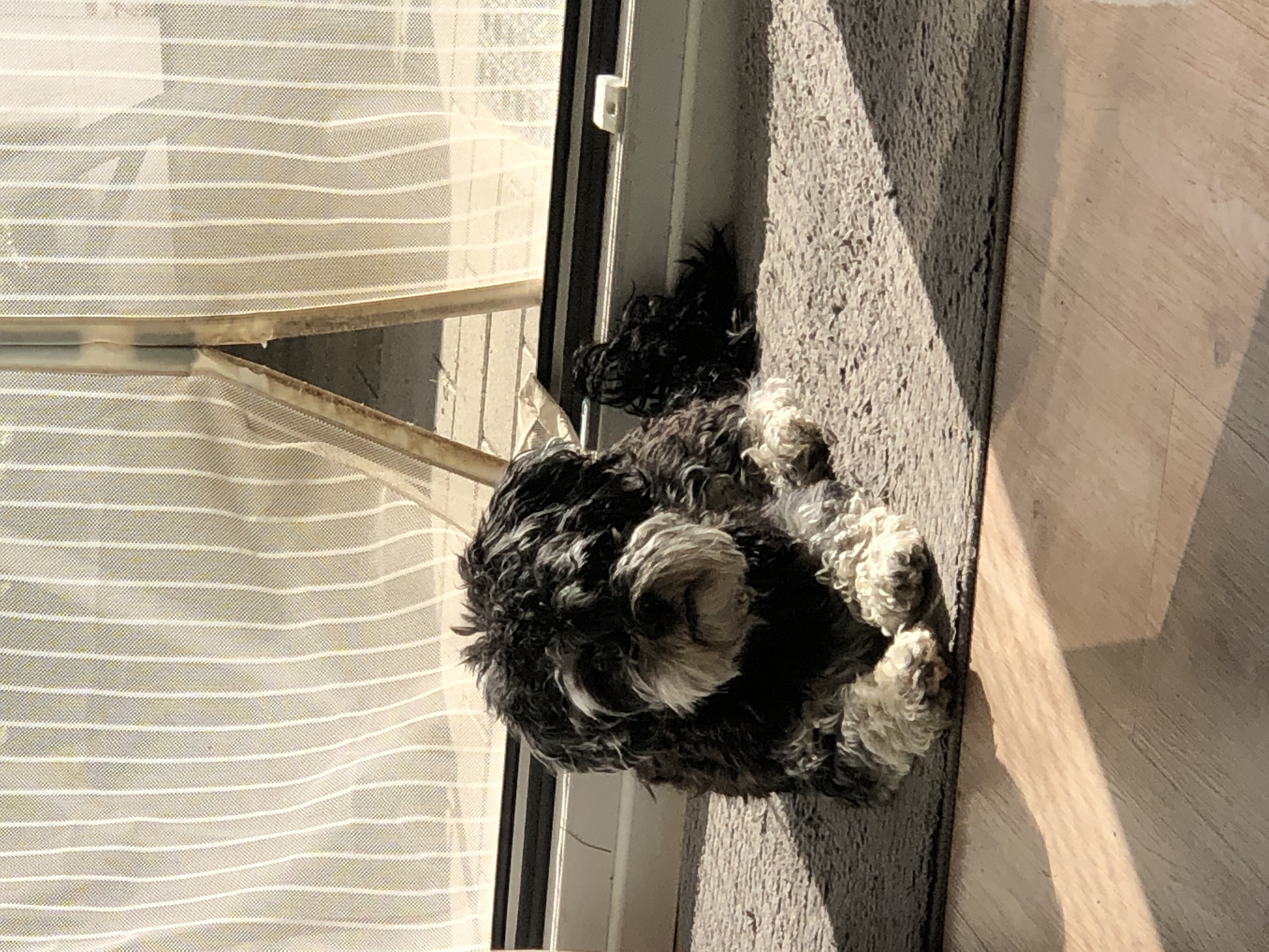 Max in der Sonne