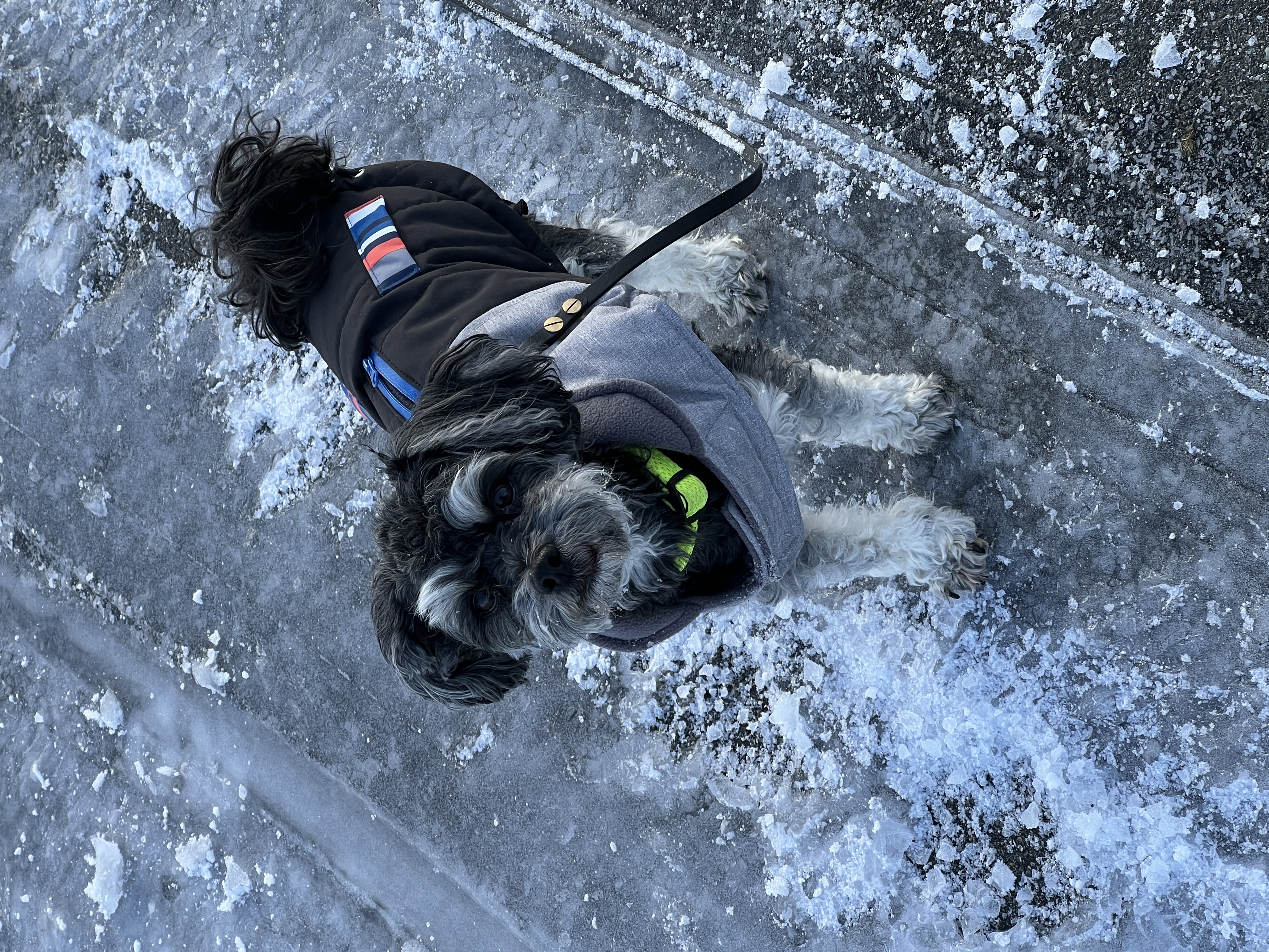 Max im Wintermantel