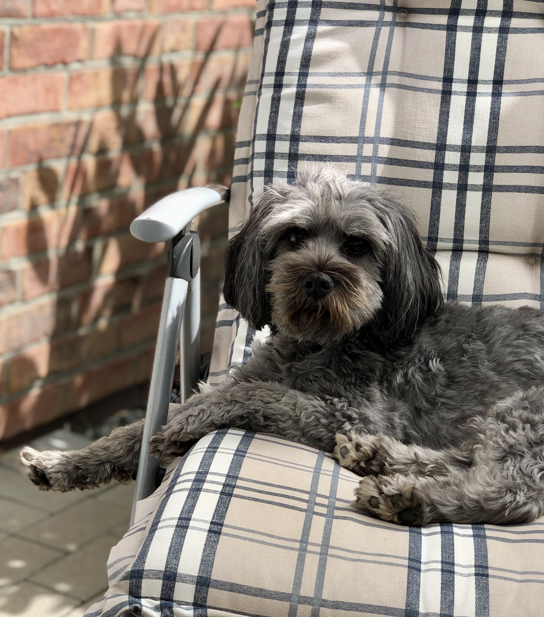 Sam im Garten